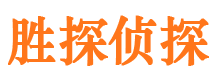 东西湖市侦探公司